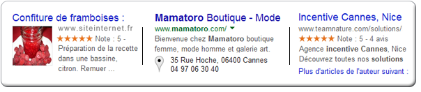 Exemples Rich Snippets - Création site Internet Nice