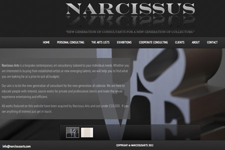 Creation site internet Narcissusarts