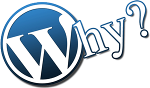 Pourquoi une formation WordPress Nice
